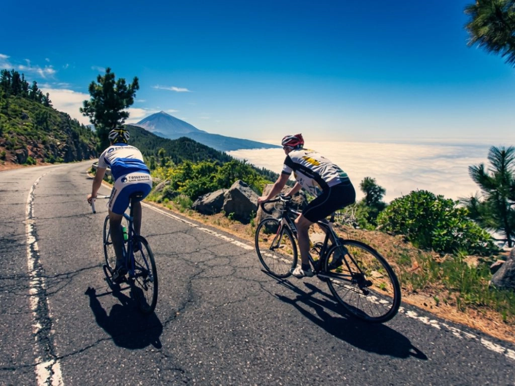 Alquiler y tours en Bicicleta