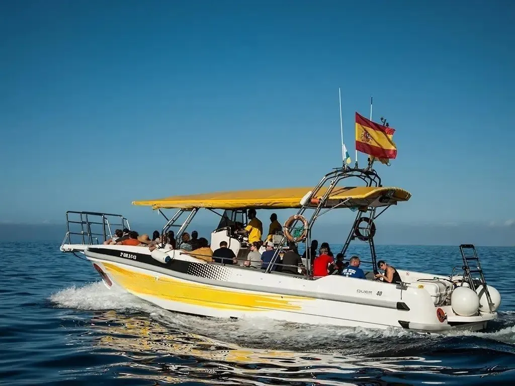 Masca Express
