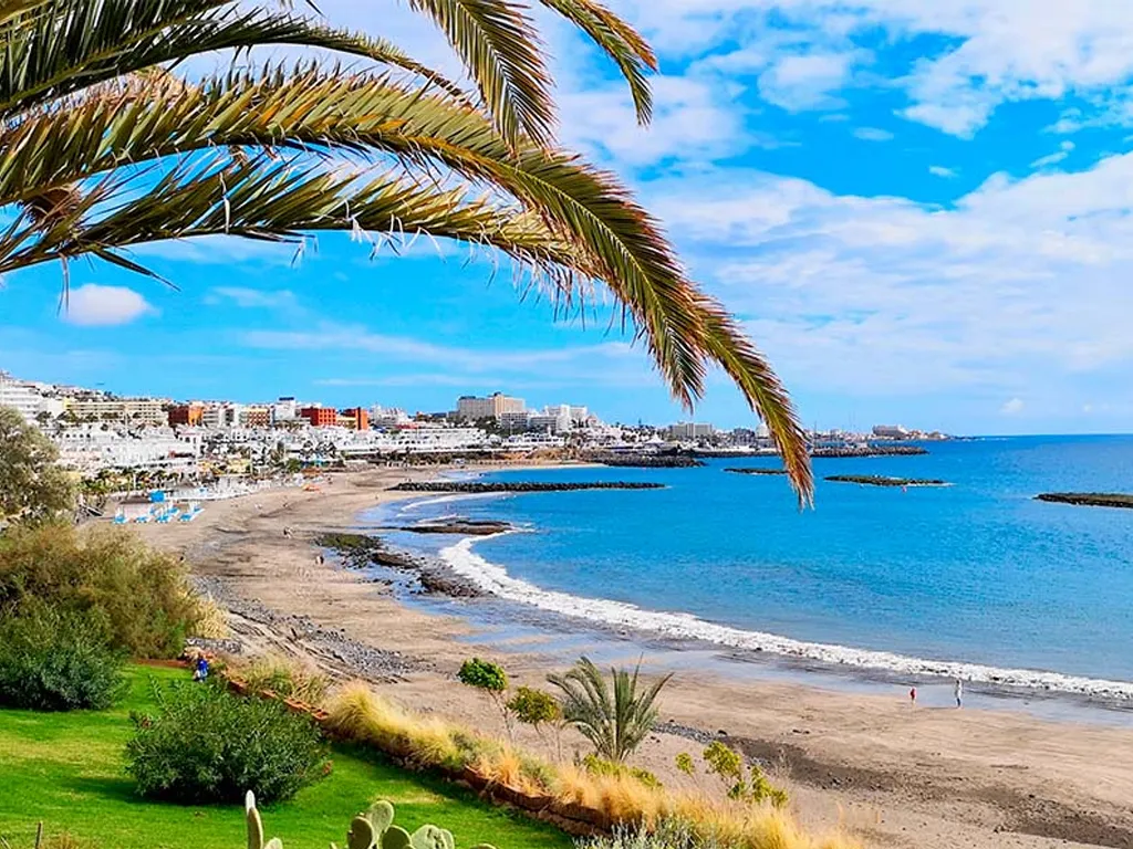 Playas del Sur 
