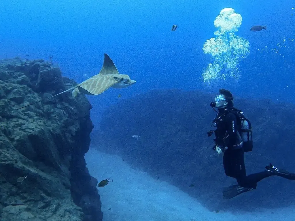 Diving Atlantis
