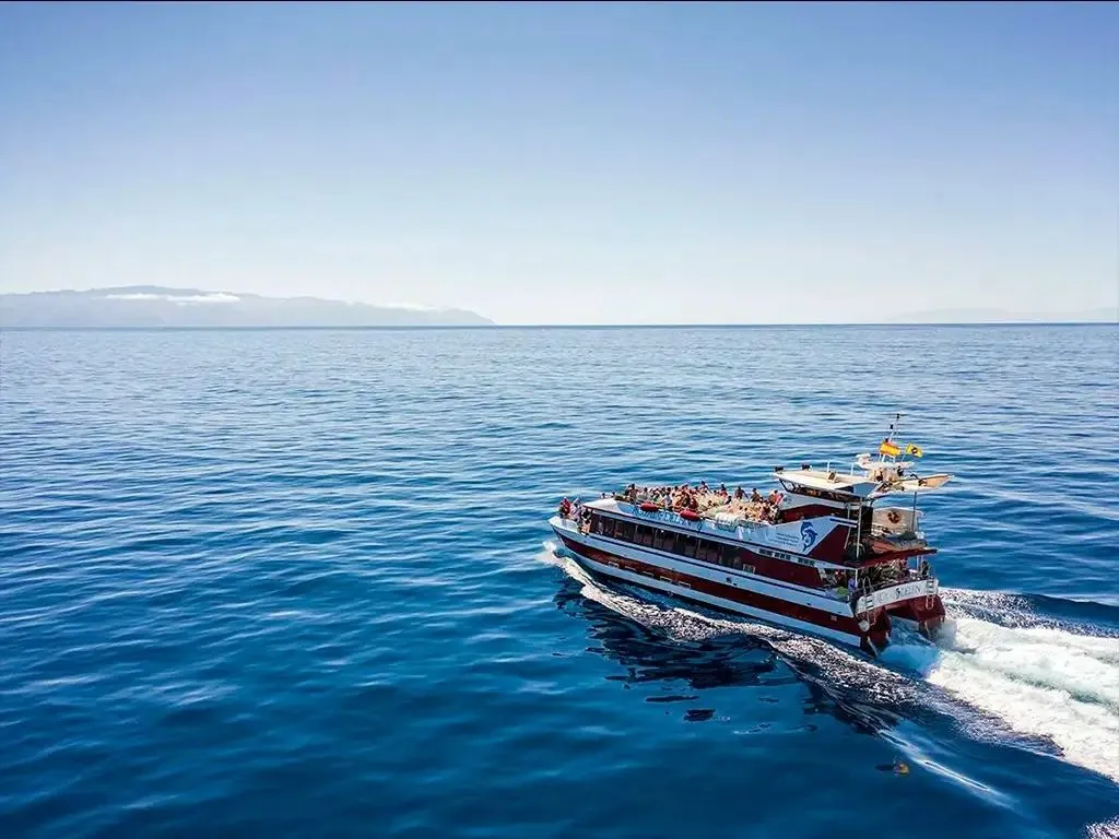 Royal Delfin-Catamarán