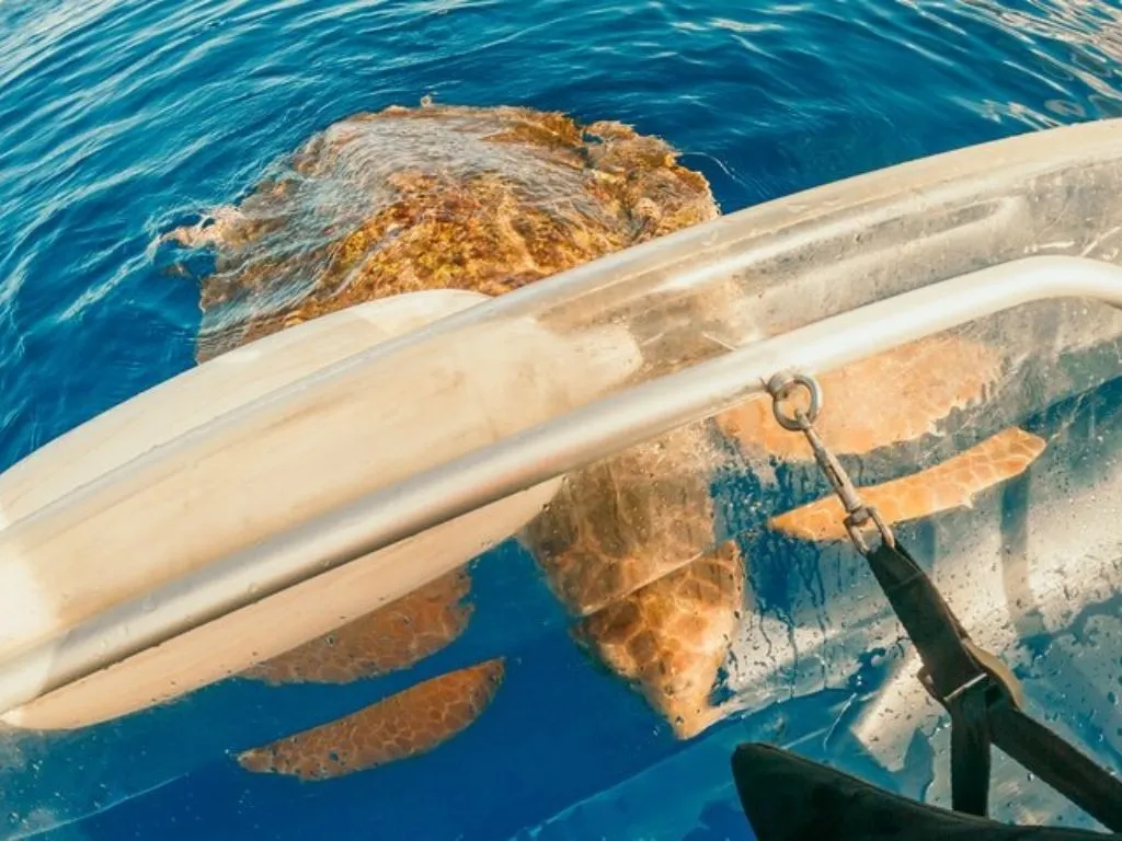 Kayak transparente A.C.E