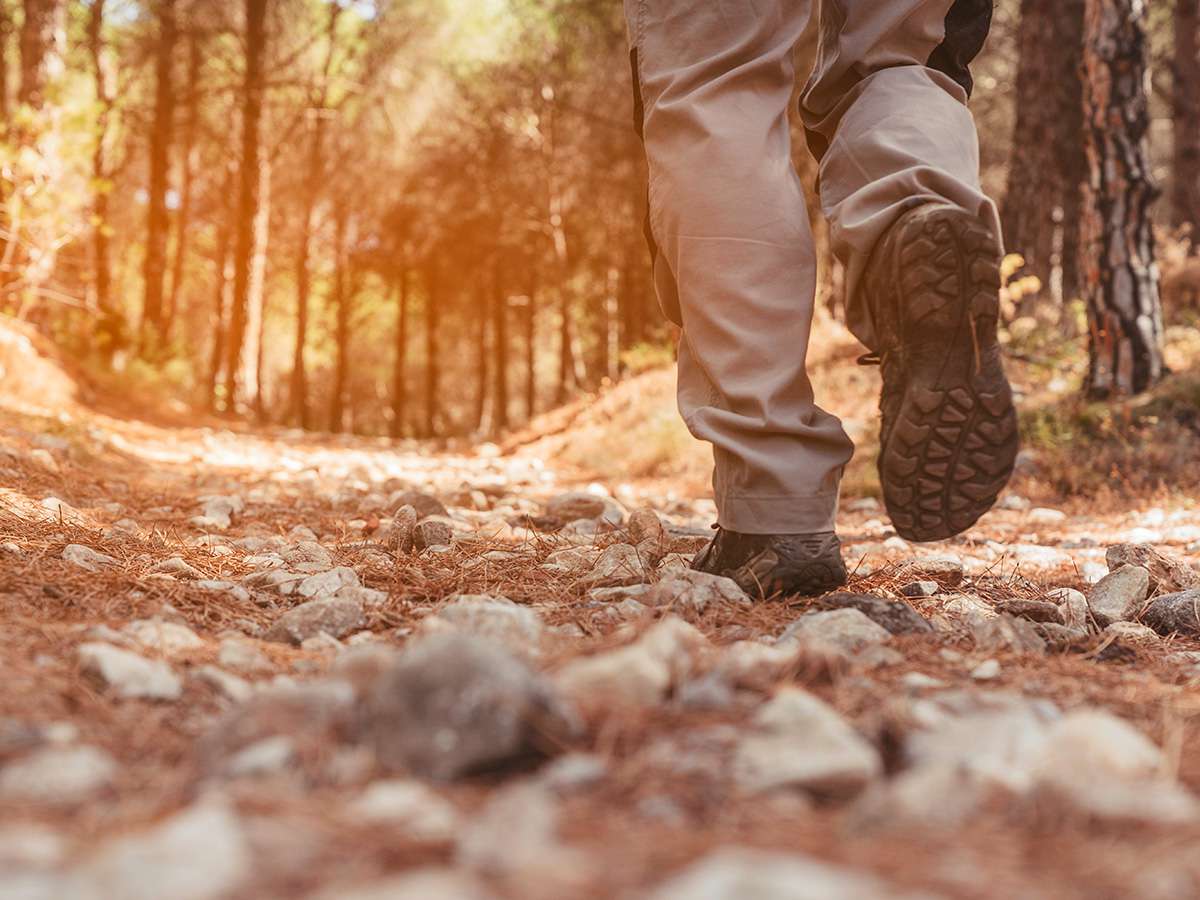 Hike & Fly