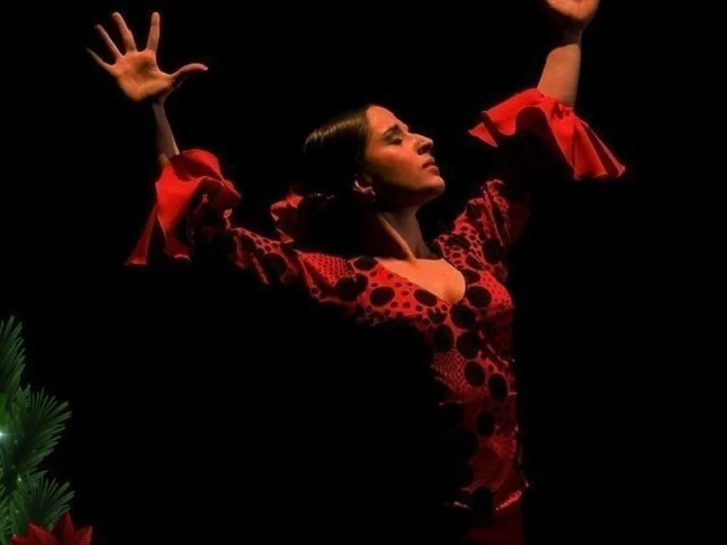 Flamenco Sala Coliseo 