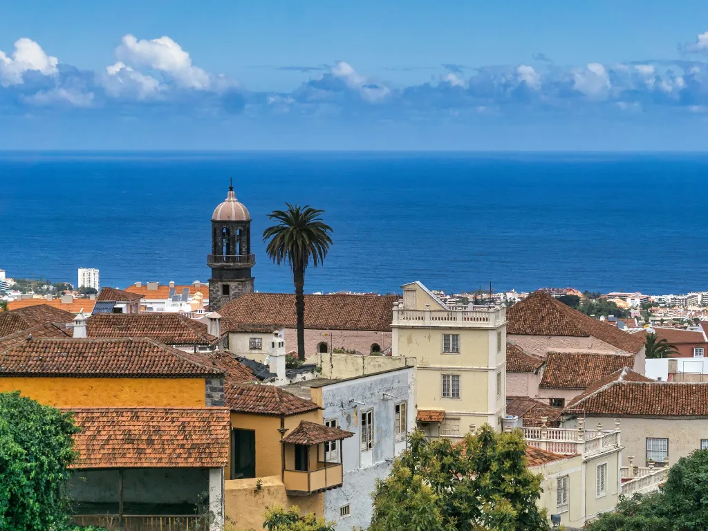 Santa Cruz + La Laguna + Anaga ( Directo )