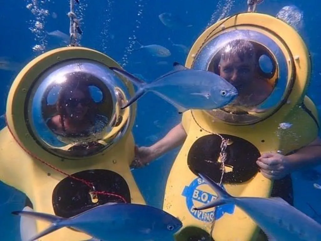 Safari B.O.B. Diving