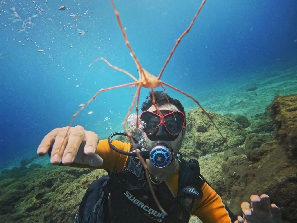 Zero Gravity Diving Center